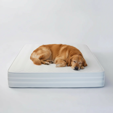 Vitality Solace 1000 Pocket Sprung Mattress