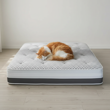 Cocoon Bliss 1500 Encapsulated Pocket Sprung Mattress